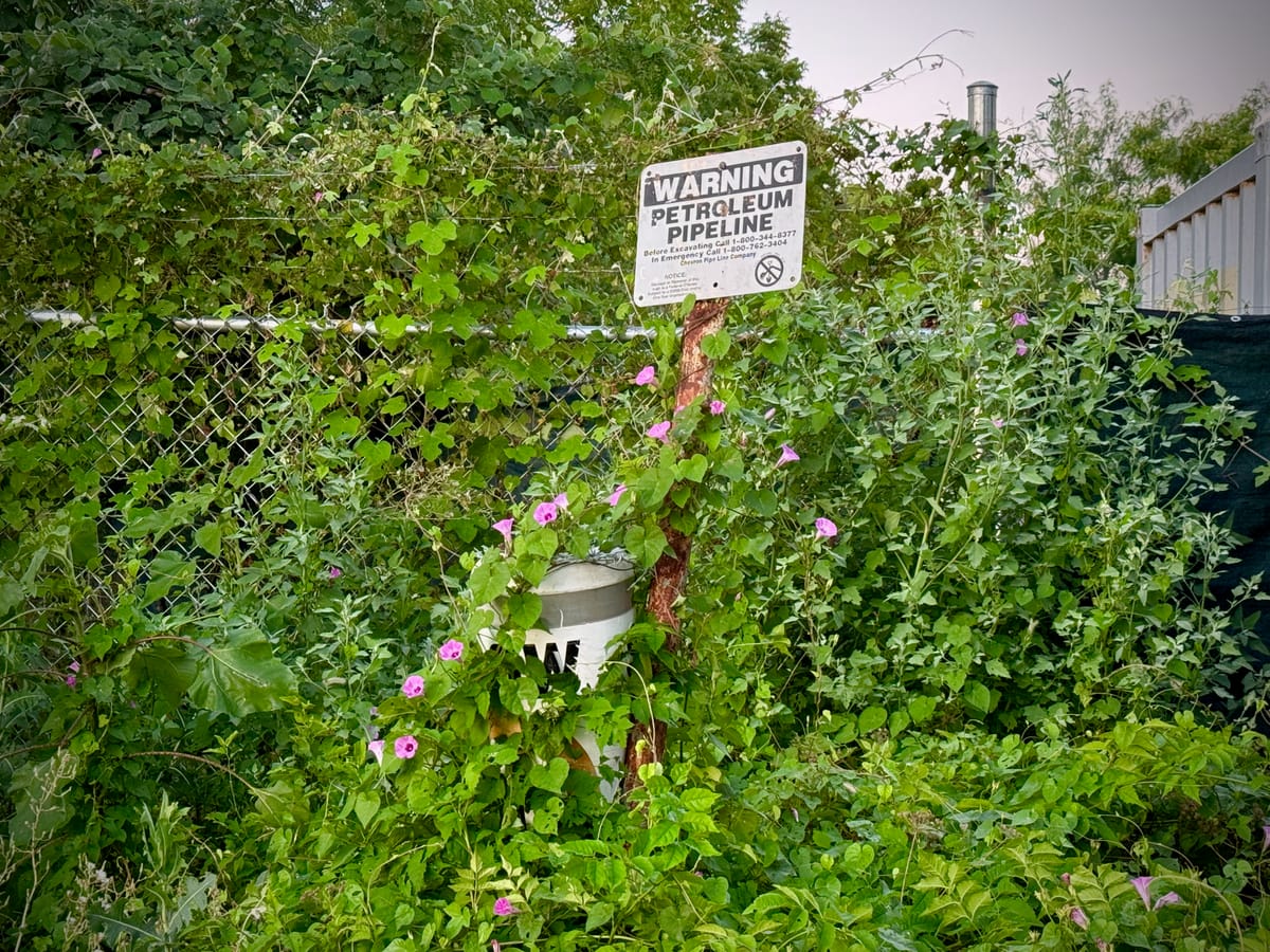 Southlands / Edgelands